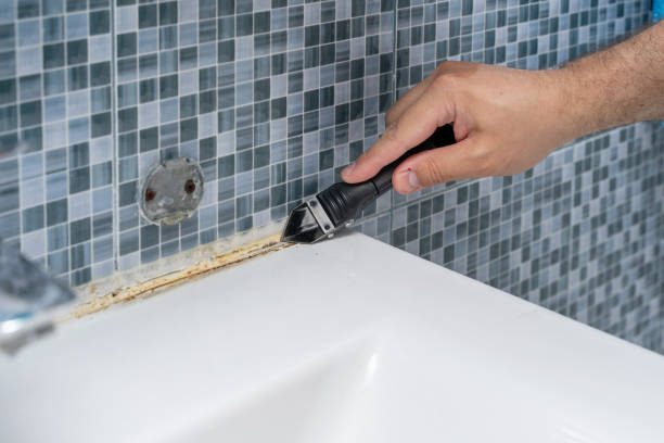 Best Toxic Mold Removal  in Mabscott, WV